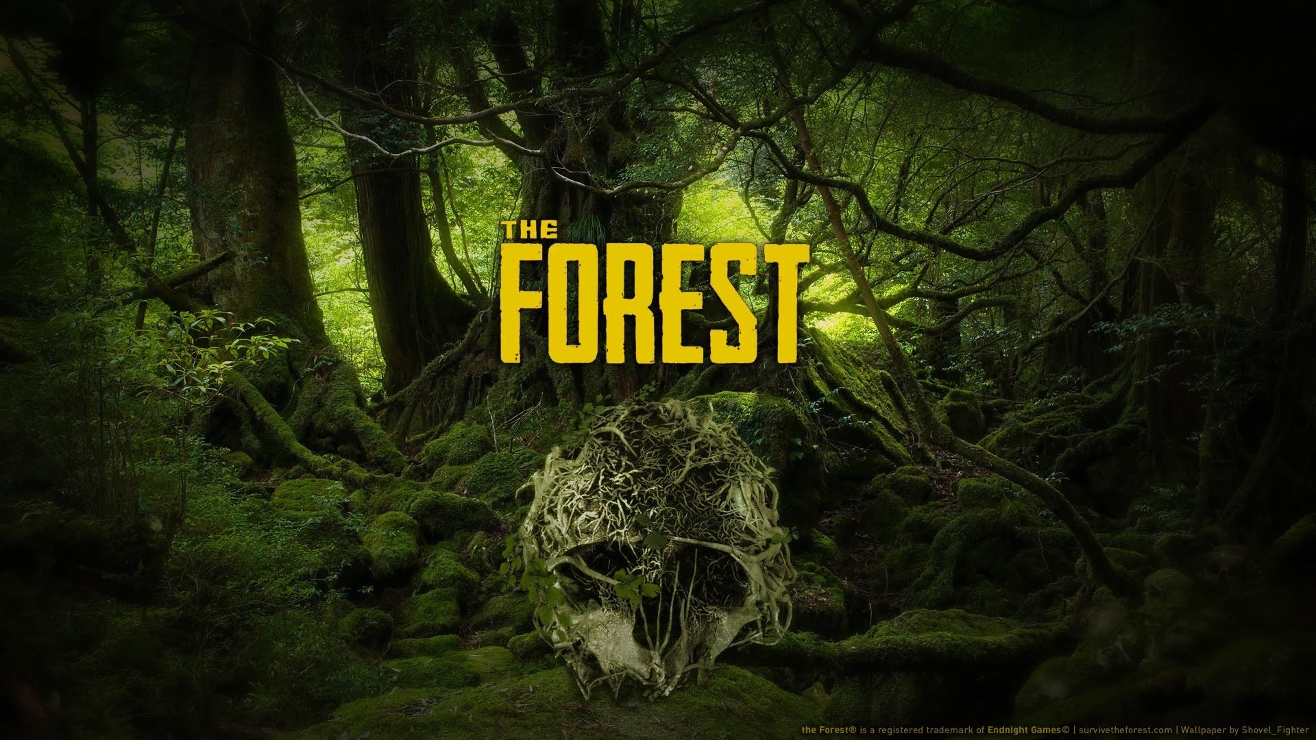 The Forest Купить The Forest ключ Steam ключ — обложка игры