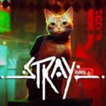 Купить Stray ключ Steam ключ — обложка игры