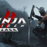 Купить NINJA GAIDEN 2 Black ключ Steam ключ — обложка игры